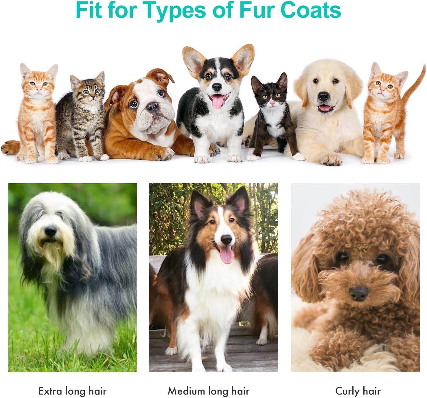 PET GROOMING KIT & VACUUM